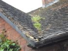 Gutter and roof clearing